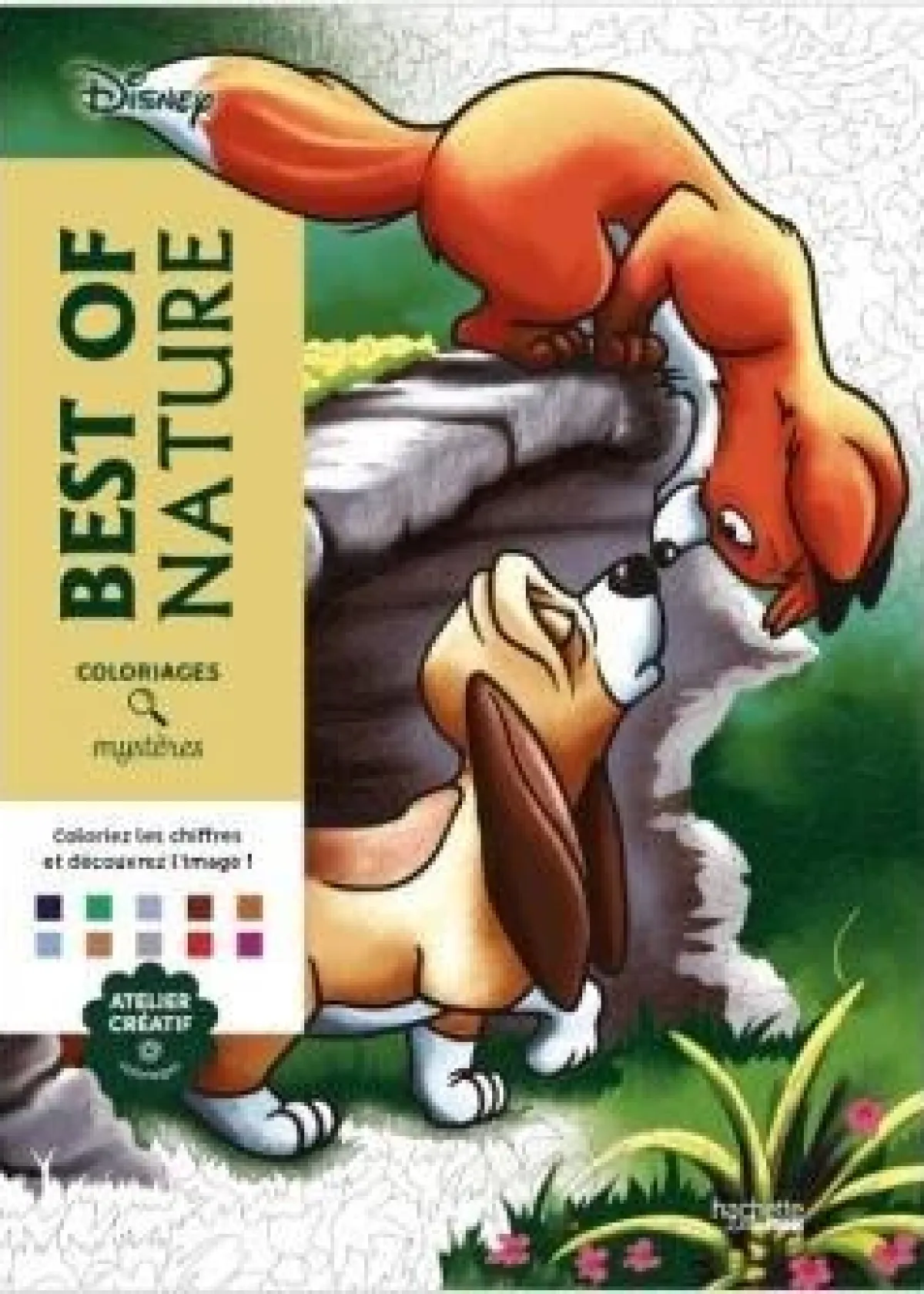 Cover of Coloriages mystères Disney - Best of Nature.